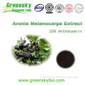 organic aronia melanocarpa extract